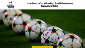 What Istanbulspor-info-tr.com website looks like in 2024 