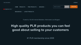 What Indigitalworks.com website looked like in 2024 (1 year ago)