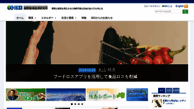 What Ieei.or.jp website looks like in 2024 