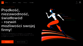 What Internetdsl.pl website looks like in 2024 