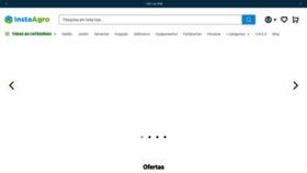 What Instaagro.com website looks like in 2024 