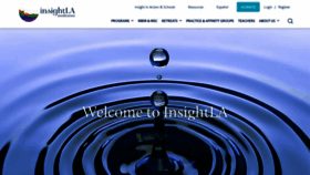 What Insightla.org website looks like in 2024 