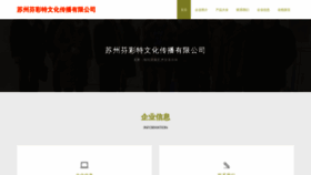 What Insfckt.cn website looks like in 2024 