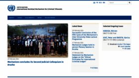 What Irmct.org website looks like in 2024 