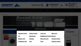 What Ice56.ru website looks like in 2024 