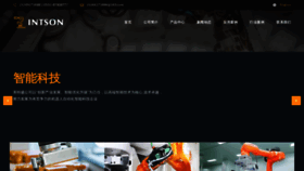 What Intson.cn website looks like in 2024 