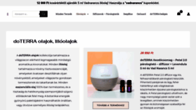 What Illo-olajok.hu website looks like in 2024 