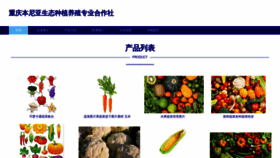 What Iycrbbn.cn website looks like in 2024 