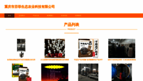 What Izhwsfi.cn website looks like in 2024 