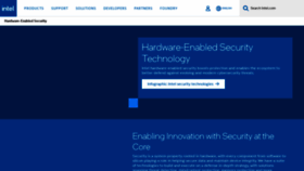 What Intelsecurity.com website looks like in 2024 