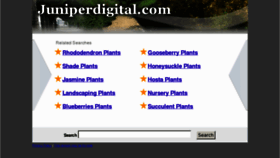 What Juniper.ir website looked like in 2012 (11 years ago)