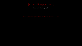 What Jeroenknippenberg.com website looked like in 2013 (10 years ago)