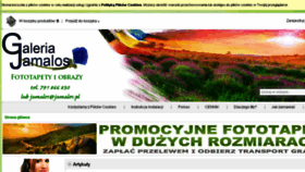 What Jamalos.pl website looked like in 2014 (9 years ago)