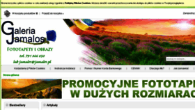 What Jamalos.pl website looked like in 2015 (9 years ago)