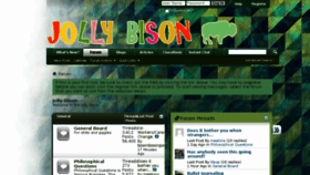 What Jollybison.com website looked like in 2016 (7 years ago)