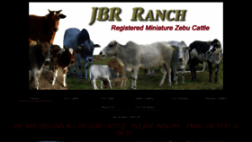 What Jbrranch.com website looked like in 2016 (7 years ago)