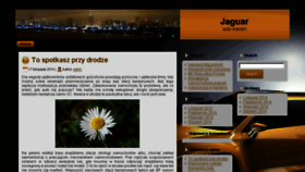 What Jaguartrend.pl website looked like in 2016 (7 years ago)