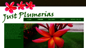 What Justplumerias.com website looked like in 2017 (6 years ago)
