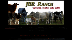 What Jbrranch.com website looked like in 2017 (6 years ago)