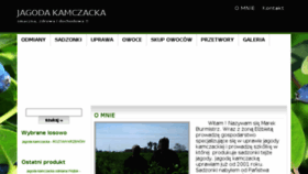What Jagoda-kamczacka.pl website looked like in 2018 (6 years ago)