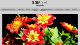 What Jaribasphoto.com website looked like in 2018 (5 years ago)