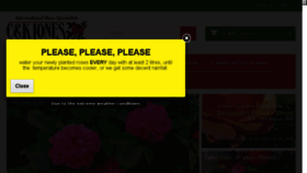 What Jonestherose.co.uk website looked like in 2018 (7 years ago)