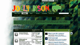 What Jollybison.com website looked like in 2018 (5 years ago)