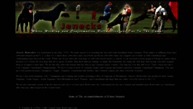 What Jenecks.com website looked like in 2018 (5 years ago)