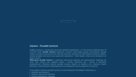 What Julpatex.pl website looked like in 2019 (4 years ago)