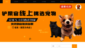 What Jiachongshangcheng.com website looked like in 2019 (4 years ago)