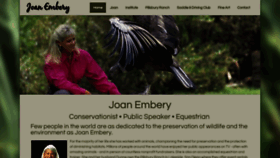 What Joanembery.com website looked like in 2019 (4 years ago)