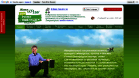 What Jivi200.ru website looked like in 2020 (4 years ago)