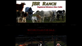 What Jbrranch.com website looked like in 2020 (4 years ago)