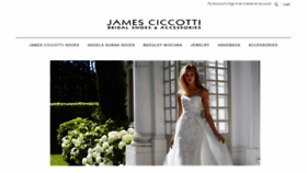 What Jamesciccotti.com website looked like in 2020 (4 years ago)