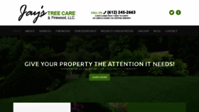 What Jaystreecare.com website looked like in 2020 (4 years ago)