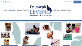 What Josephleveno.com website looked like in 2020 (5 years ago)