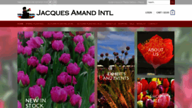 What Jacquesamandintl.com website looked like in 2020 (3 years ago)