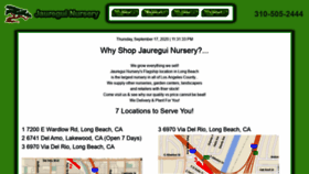 What Jnursery.com website looked like in 2020 (3 years ago)