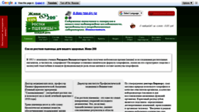 What Jivi200.ru website looked like in 2021 (3 years ago)