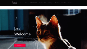 What Jamesandsteel.com website looked like in 2021 (2 years ago)