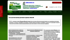 What Jivi200.ru website looked like in 2022 (1 year ago)
