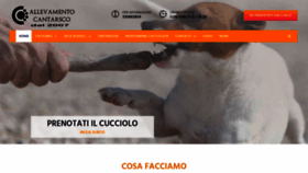 What Jackrussellcantarsco.it website looked like in 2023 (This year)