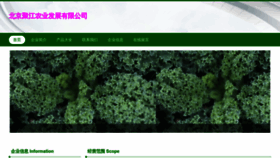 What Jujiangcp.com website looked like in 2023 (This year)