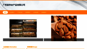 What Jyz85861111.com website looked like in 2023 (This year)