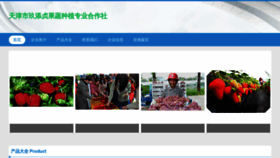 What Jiutianzhen.com website looked like in 2023 (This year)