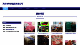 What Jiushengfelt.com website looked like in 2023 (This year)