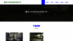 What Jiangshengkeji.com website looked like in 2023 (This year)