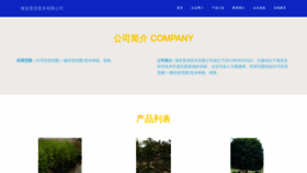 What Jingmipeijian.com website looked like in 2023 (This year)