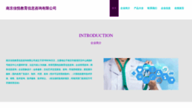 What Jiayuehaiwai.com website looked like in 2023 (This year)