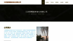 What Jsjiangmian.com website looked like in 2023 (This year)